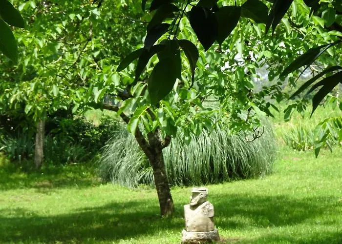 Domaine Avec Piscine A Dans Le Lot 4 Etoiles 2 Holiday home *